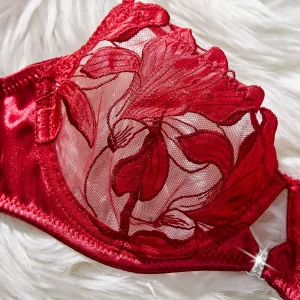 Ensemble de Lingerie – Image 27